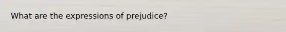 What are the expressions of prejudice?