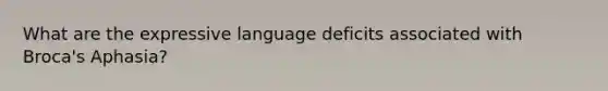 What are the expressive language deficits associated with Broca's Aphasia?