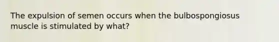 The expulsion of semen occurs when the bulbospongiosus muscle is stimulated by what?