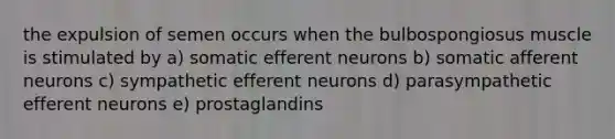 the expulsion of semen occurs when the bulbospongiosus muscle is stimulated by a) somatic efferent neurons b) somatic afferent neurons c) sympathetic efferent neurons d) parasympathetic efferent neurons e) prostaglandins