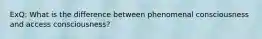 ExQ: What is the difference between phenomenal consciousness and access consciousness?