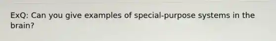 ExQ: Can you give examples of special-purpose systems in the brain?