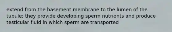 extend from the basement membrane to the lumen of the tubule; they provide developing sperm nutrients and produce testicular fluid in which sperm are transported