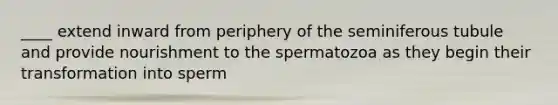 ____ extend inward from periphery of the seminiferous tubule and provide nourishment to the spermatozoa as they begin their transformation into sperm