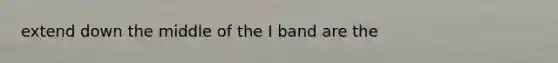 extend down the middle of the I band are the