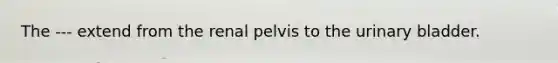 The --- extend from the renal pelvis to the urinary bladder.