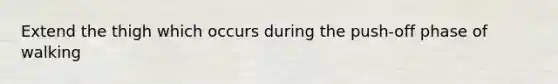 Extend the thigh which occurs during the push-off phase of walking