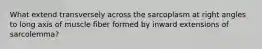 What extend transversely across the sarcoplasm at right angles to long axis of muscle fiber formed by inward extensions of sarcolemma?