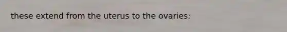 these extend from the uterus to the ovaries: