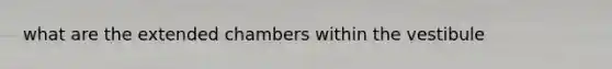 what are the extended chambers within the vestibule