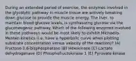 During an extended period of exercise, the enzymes involved in the glycolytic pathway in muscle tissue are actively breaking down glucose to provide the muscle energy. The liver, to maintain blood glucose levels, is synthesizing glucose via the gluconeogenic pathway. Which of the following enzymes involved in these pathways would be most likely to exhibit Michaelis- Menten kinetics (i.e. have a hyperbolic curve when plotting substrate concentration versus velocity of the reaction)? (A) Fructose-1,6-bisphosphatase (B) Hexokinase (C) Lactate dehydrogenase (D) Phosphofructokinase 1 (E) Pyruvate kinase