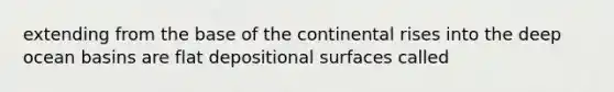 extending from the base of the continental rises into the deep ocean basins are flat depositional surfaces called