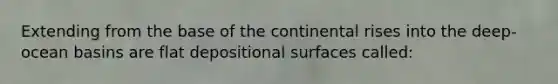 Extending from the base of the continental rises into the deep-ocean basins are flat depositional surfaces called: