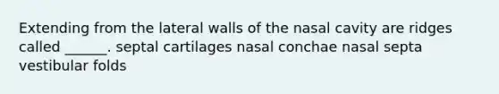 Extending from the lateral walls of the nasal cavity are ridges called ______. septal cartilages nasal conchae nasal septa vestibular folds