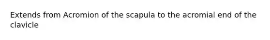 Extends from Acromion of the scapula to the acromial end of the clavicle