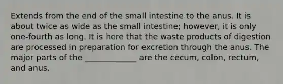 Extends from the end of the small intestine to the anus. It is about twice as wide as the small intestine; however, it is only one-fourth as long. It is here that the waste products of digestion are processed in preparation for excretion through the anus. The major parts of the _____________ are the cecum, colon, rectum, and anus.