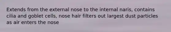 Extends from the external nose to the internal naris, contains cilia and goblet cells, nose hair filters out largest dust particles as air enters the nose