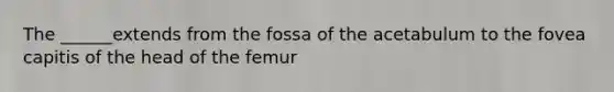 The ______extends from the fossa of the acetabulum to the fovea capitis of the head of the femur