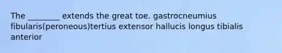 The ________ extends the great toe. gastrocneumius fibularis(peroneous)tertius extensor hallucis longus tibialis anterior