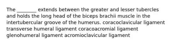 The ________ extends between the greater and lesser tubercles and holds the long head of the biceps brachii muscle in the intertubercular groove of the humerus. coracoclavicular ligament transverse humeral ligament coracoacromial ligament glenohumeral ligament acromioclavicular ligament