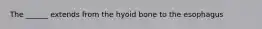 The ______ extends from the hyoid bone to the esophagus