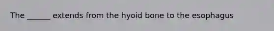 The ______ extends from the hyoid bone to the esophagus