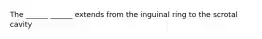 The ______ ______ extends from the inguinal ring to the scrotal cavity