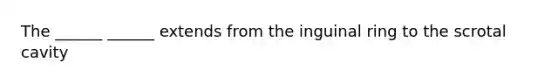 The ______ ______ extends from the inguinal ring to the scrotal cavity