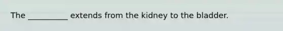 The __________ extends from the kidney to the bladder.