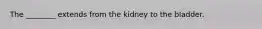 The ________ extends from the kidney to the bladder.