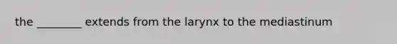 the ________ extends from the larynx to the mediastinum