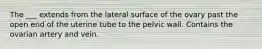 The ___ extends from the lateral surface of the ovary past the open end of the uterine tube to the pelvic wall. Contains the ovarian artery and vein.