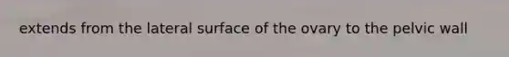 extends from the lateral surface of the ovary to the pelvic wall