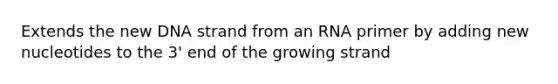Extends the new DNA strand from an RNA primer by adding new nucleotides to the 3' end of the growing strand