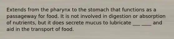 Extends from the pharynx to the stomach that functions as a passageway for food. It is not involved in digestion or absorption of nutrients, but it does secrete mucus to lubricate ___ ____ and aid in the transport of food.