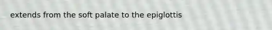 extends from the soft palate to the epiglottis