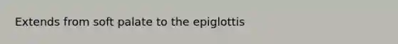 Extends from soft palate to the epiglottis