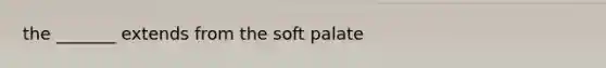 the _______ extends from the soft palate