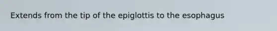 Extends from the tip of the epiglottis to <a href='https://www.questionai.com/knowledge/kSjVhaa9qF-the-esophagus' class='anchor-knowledge'>the esophagus</a>