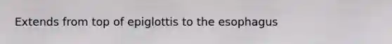 Extends from top of epiglottis to <a href='https://www.questionai.com/knowledge/kSjVhaa9qF-the-esophagus' class='anchor-knowledge'>the esophagus</a>