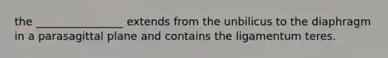 the ________________ extends from the unbilicus to the diaphragm in a parasagittal plane and contains the ligamentum teres.