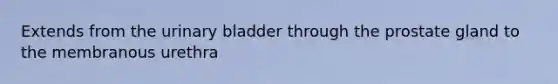 Extends from the <a href='https://www.questionai.com/knowledge/kb9SdfFdD9-urinary-bladder' class='anchor-knowledge'>urinary bladder</a> through the prostate gland to the membranous urethra