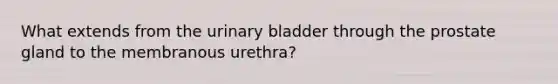 What extends from the urinary bladder through the prostate gland to the membranous urethra?