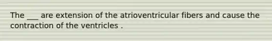 The ___ are extension of the atrioventricular fibers and cause the contraction of the ventricles .