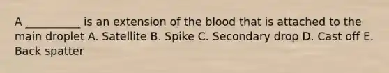 A __________ is an extension of the blood that is attached to the main droplet A. Satellite B. Spike C. Secondary drop D. Cast off E. Back spatter