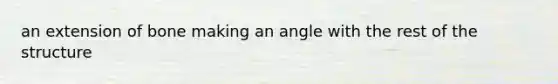 an extension of bone making an angle with the rest of the structure