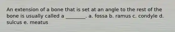 An extension of a bone that is set at an angle to the rest of the bone is usually called a ________. a. fossa b. ramus c. condyle d. sulcus e. meatus