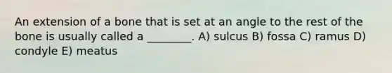 An extension of a bone that is set at an angle to the rest of the bone is usually called a ________. A) sulcus B) fossa C) ramus D) condyle E) meatus