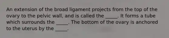 An extension of the broad ligament projects from the top of the ovary to the pelvic wall, and is called the _____. It forms a tube which surrounds the _____. The bottom of the ovary is anchored to the uterus by the _____.