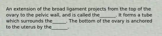 An extension of the broad ligament projects from the top of the ovary to the pelvic wall, and is called the_______. It forms a tube which surrounds the______. The bottom of the ovary is anchored to the uterus by the_______.